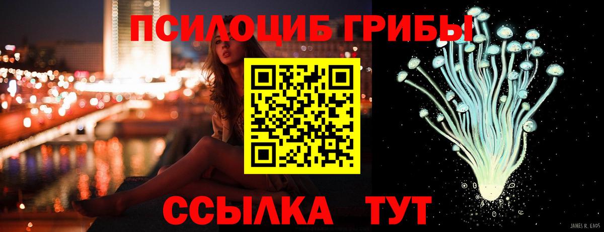 Галлюциногенные грибы Psilocybe  Вход с VPN  Омск  Галлюциногенные грибы Psilocybe 